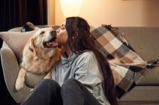 Your HVAC and Furry Friends: Ways to Optimize Air Quality and System Efficiency